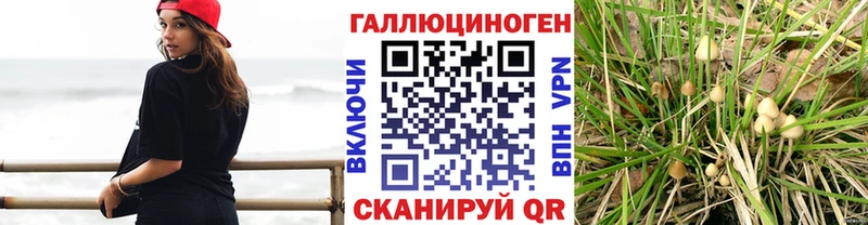 Псилоцибиновые грибы мухоморы Минусинск