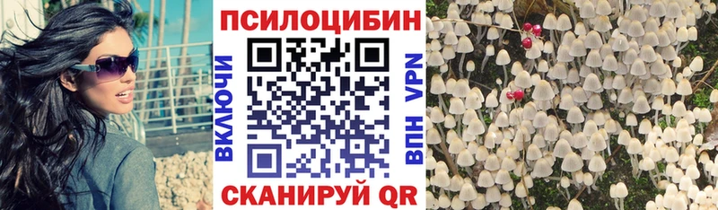 Купить где  Минусинск  Псилоцибиновые грибы Magic Shrooms 